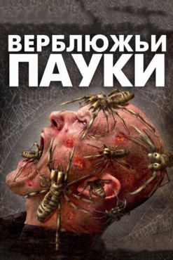 Смотреть Верблюжьи пауки (2011) онлайн в HD качестве 720p-1080p