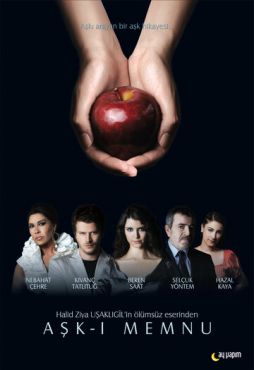 Смотреть Запретная любовь (2008) онлайн в HD качестве 720p-1080p