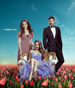 Смотреть Пора тюльпанов (2010) онлайн в HD качестве 720p-1080p